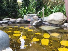 -台山颐和温泉城