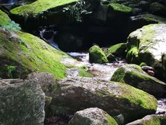 -陕西省红河谷森林公园