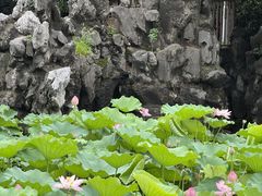 -郑和公园