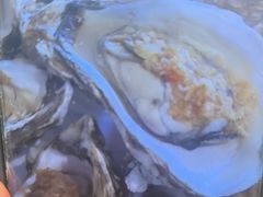 -赶海部落海鲜城(海阳路店)