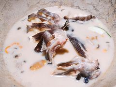 鮰鱼-云海肴云南菜·蒸汽石锅鱼(青岛万象城店)