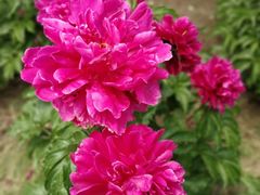 -长春公园(普阳街道)