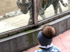 -荆州中山公园动物园