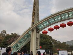 -南山植物园