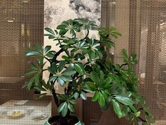 -淮扬府(安定门店)
