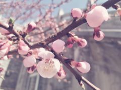 -国庆烧麦馆
