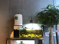 -臻老板牛肉面(光华路SOHO店)