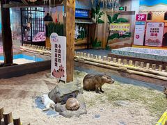-顺德南宏海立方海洋公园