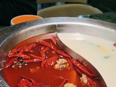 -麻田会 ·鲜活现烹·牛蛙火锅(珠江新城维家思广场店)