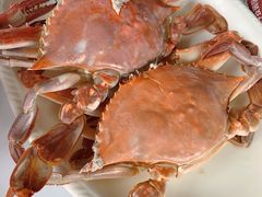 -胖大嫂渔家排档·全海景餐厅(渔村店)