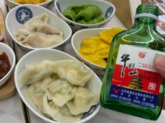 -东方饺子王(新奥购物中心店)