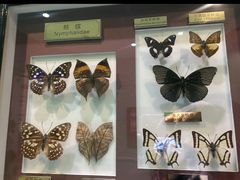 -上海昆虫博物馆