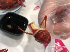 -老鄞江清水龙虾•赵赵家(江北店)