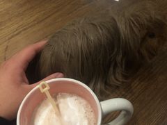 -藦茜花园宠物主题亲子互动体验馆(国顺东路店)