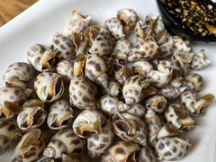 白灼香螺-501號台州海鲜餐厅(海创园店)