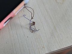 -纳吉亚猫专科动物诊疗中心(蒋宅口分院)