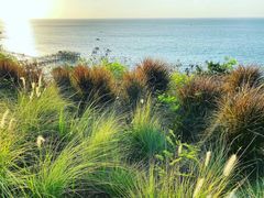 -Rock Bar Bali(Bali)