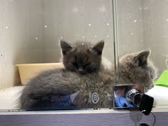 -乐宠宠物店(世纪金源店)