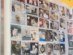 -佑安动物医院·全科·内窥镜中心(幸福巷店)