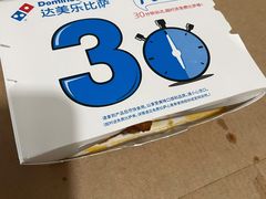 -达美乐比萨(武定店)