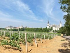 -北京张裕爱斐堡酒庄