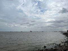 -上海滨江森林公园