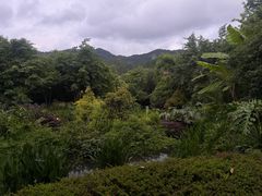 -腾冲洞山温泉村