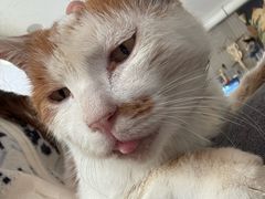 -平行世界·猫咖(首经贸店)