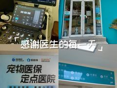 -美联众合动物医院·24h京西诊疗中心