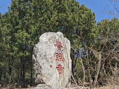 -泰山风景名胜区-普照寺