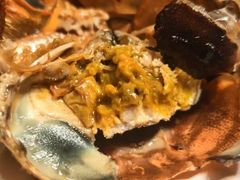 -黄记大闸蟹专卖店·活蟹·醉蟹