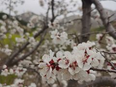 -雁门关景区