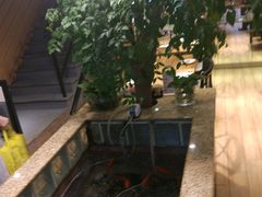 -新澳港式茶餐厅(余姚路店)