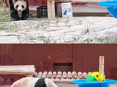 -杭州野生动物世界