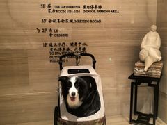 -杭州桐庐康莱德酒店西餐厅-舍