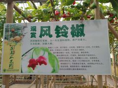 -世界地热博览园