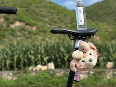 -白石山温泉旅游度假区