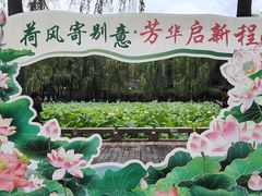 -四川大学(望江校区)