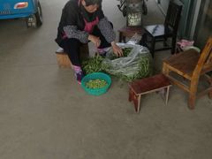 -小六农家乐(崇明西沙湿地店)