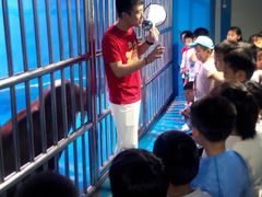 -烟台海昌鲸鲨海洋公园