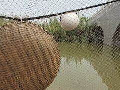 -江门古劳水乡旅游区