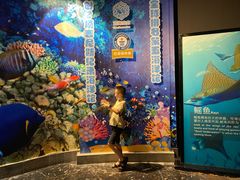 -成都浩海立方海洋公园