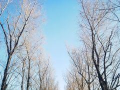 -北京热带雨林风情园酒店-停车场