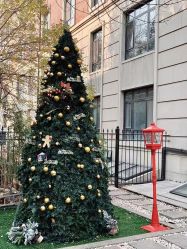 -米莱摄影写真(五大道别墅店)