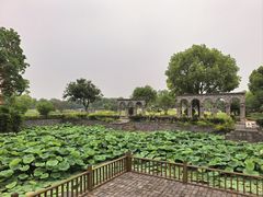 -嬉乐湾休闲旅游区
