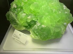 -湖南省地质博物馆