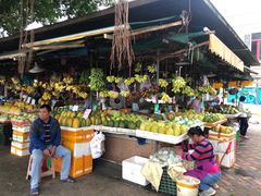 -南沙十九涌渔人码头-南门