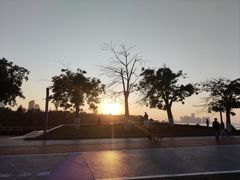 -万绿园