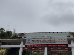 -中国科学院西双版纳热带植物园