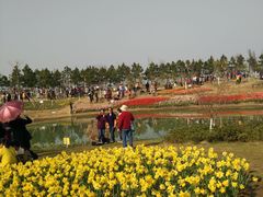 -瑶湖郊野森林公园